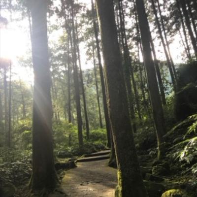 EP218 台灣針葉五木/ 澳洲花鳥手帖 EP218 台灣針葉五木/ 澳洲花鳥手帖