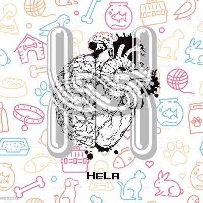 Realidades de la Medicina Veterinaria. Radio HeLa