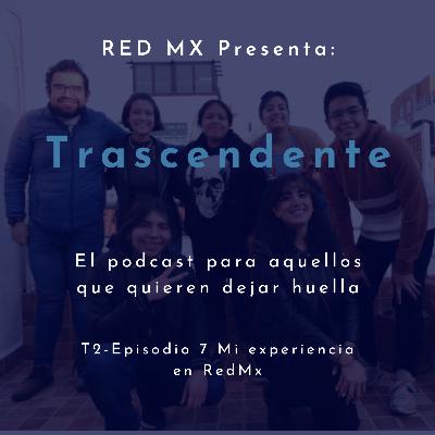 Mi experiencia en RedMx