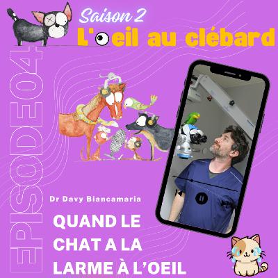 Quand votre chat à la larme à l'oeil Quand votre chat à la larme à l'oeil