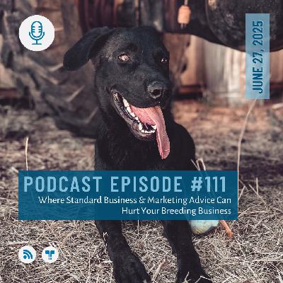 #111 - Where Breeders Are Bleeding Money Part 3/3 - Marketing Money Leaks