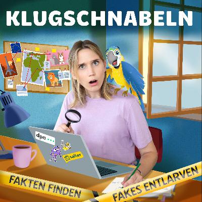 Kühe können nicht schwimmen???!