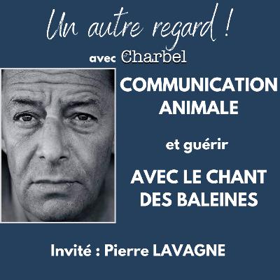 Communication animale et guérir avec le chant des baleines