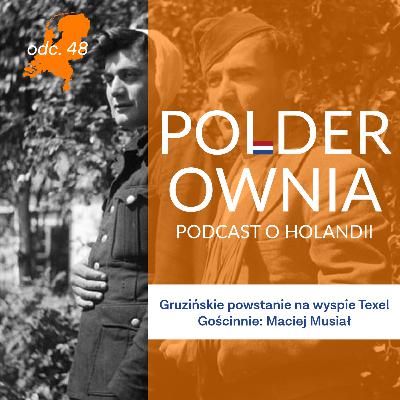 Gruzińskie powstanie na wyspie Texel