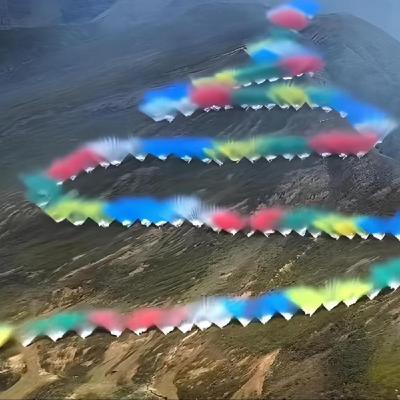 # 348 蔡國強&始祖鳥炸山事件