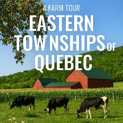 Quebec's Eastern Townships: Farm-to-Fork Delights