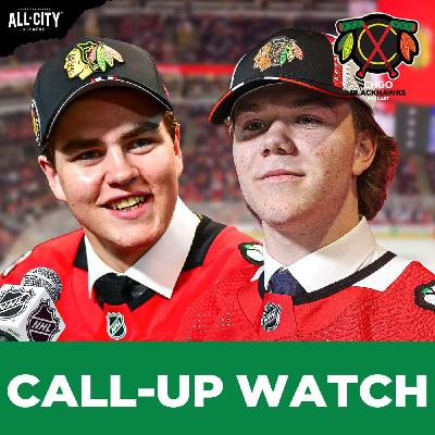 Who Will be the Next Player to Make Their Chicago Blackhawks Debut? | CHGO Blackhawks Podcast Who Will be the Next Player to Make Their Chicago Blackhawks Debut? | CHGO Blackhawks Podcast