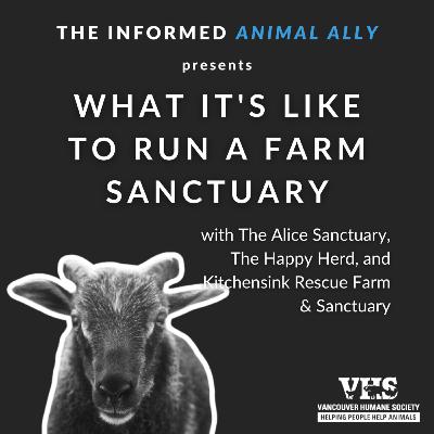 What it's like to run a farm sanctuary