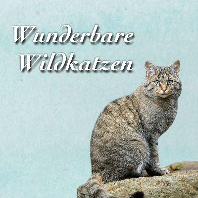 Wunderbare Wildkatzen - Dr. Friederike Scholz Wunderbare Wildkatzen - Dr. Friederike Scholz