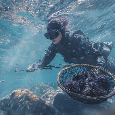 海的國度:探索韓國濟州島的自然與人文詩篇 海的國度:探索韓國濟州島的自然與人文詩篇