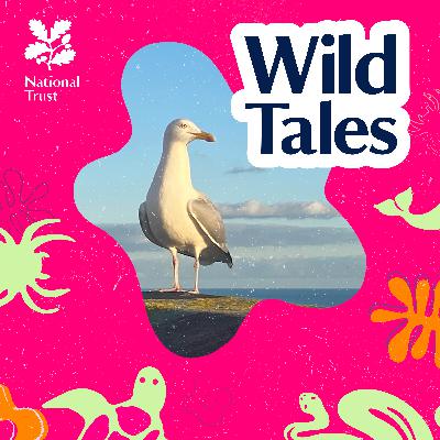 Gangster Gulls | Uncovering the Truth About Seagulls