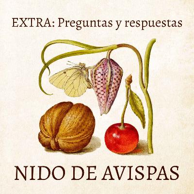 Extra - Preguntas y respuestas