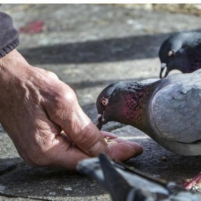 Una historia comienza..."Una tarde cualquiera".-