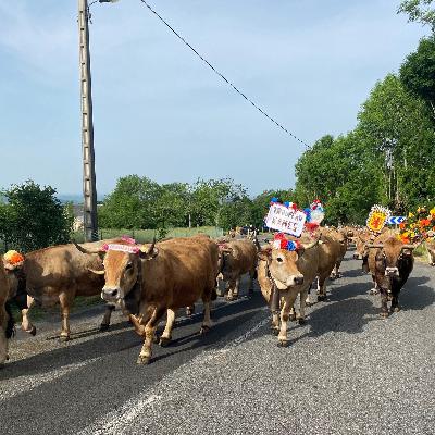 #71「ミライのバス停…発車します！」