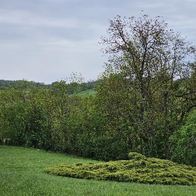 Le Morvan en Avril: 29 april, 15:00u Le Morvan en Avril: 29 april, 15:00u