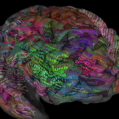 The ambition Brain Atlas Project