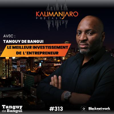 #313 POURQUOI 53% DES ENTREPRENEURS ECHOUENT ET COMMENT L'EVITER, par Tanguy de BANGUI