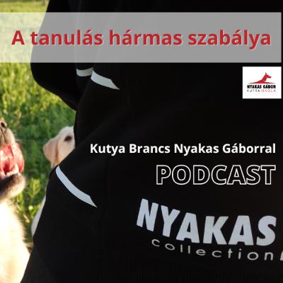 A tanulás hármas szabálya - Kutya Brancs Nyakas Gáborral A tanulás hármas szabálya - Kutya Brancs Nyakas Gáborral