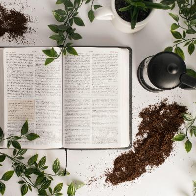 Proverbs 23 Proverbs 23