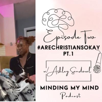 Episode 2, #arechristiansokay part one