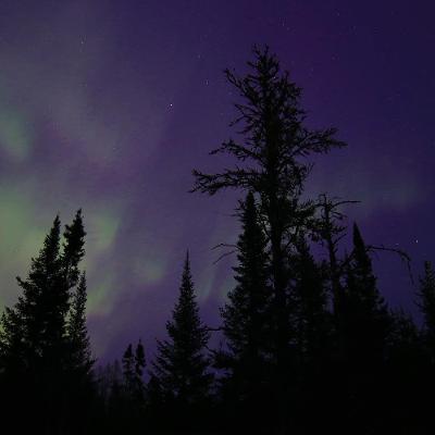 Keep it Wild - Protecting the Dark Skies