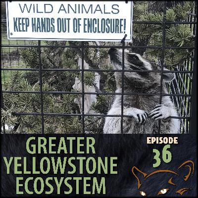 Episode 36: How Animals End Up In Sanctuaries