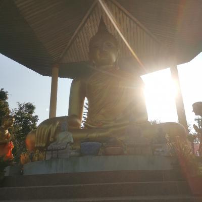 วันมาฆบูชา หลวงพ่อฤาษีลิงดำ(พระราชพรหมญาณ) วันมาฆบูชา หลวงพ่อฤาษีลิงดำ(พระราชพรหมญาณ)