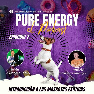 Introducción a Las Mascotas Exóticas