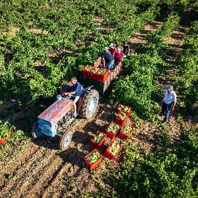 Mundo rural - PAC: Ayudas al campo por la crisis de la guerra - 30/03/26 Mundo rural - PAC: Ayudas al campo por la crisis de la guerra - 30/03/26