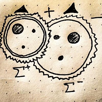 The Charged Sigma Baryons The Charged Sigma Baryons