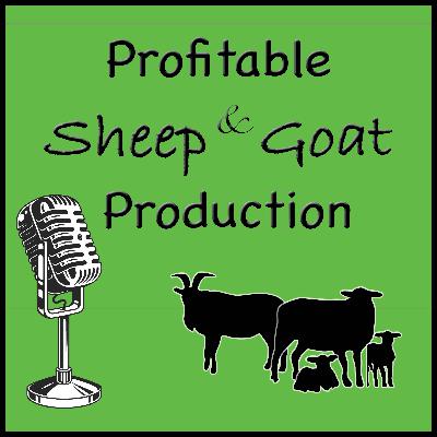 Episode 37 - Farm Updates at LC Ranch and Glenbrook Farm- May 2025