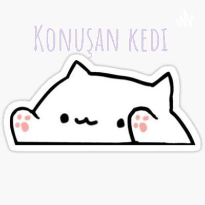 Ne konuşacakmış bu kedi ?