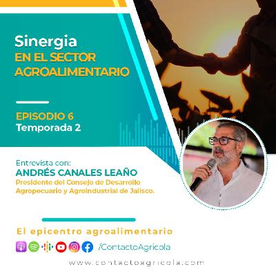 Sinergia en el sector agroalimentario