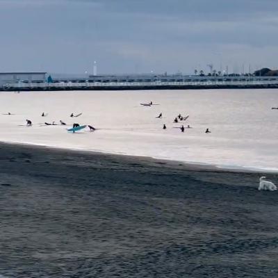 完全にリハビリ