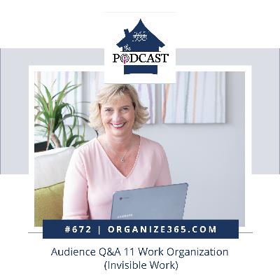 672 - Audience Q&A 11 Work Organization (Invisible Work)