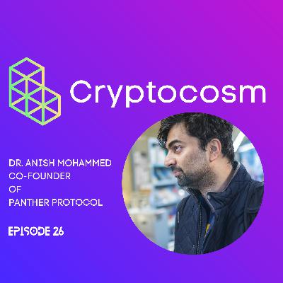 Special Edition - Deep Dive Into Panther Protocol - ZKP With Dr. Anish Mohammed - Private Scalable Solution For Instituitions In DeFi & Web3 Special Edition - Deep Dive Into Panther Protocol - ZKP With Dr. Anish Mohammed - Private Scalable Solution For Instituitions In DeFi & Web3