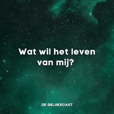 Wat wil het leven van mij?