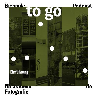 Biennale to go – Einführung