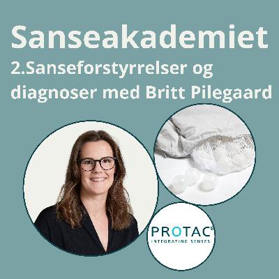 2. Sanseintegration, sanseforstyrrelser og diagnoser - hvordan hænger det sammen? Med Britt Sampedro Pilegaard