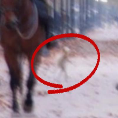 ET Captured in 2004 Photo from Chile/Trump to Release UFO Files “Soon”