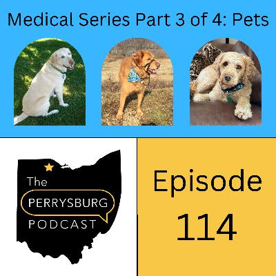 How to be a pet owner in Perrysburg (Medical Series Part 3 of 4)