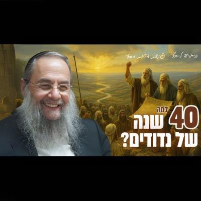 40 שנה של נדודים - עם ישראל לא רוצה מדינה?! שיעור מרתק מהגר״ד לייבל | מטות מסעי
