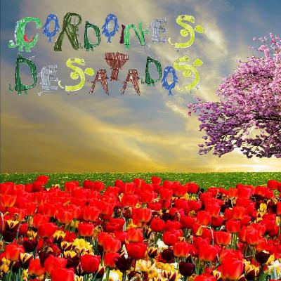 Primavera, otoño y otras alergias Primavera, otoño y otras alergias