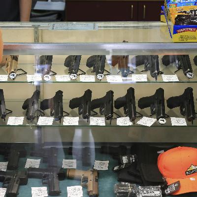 Extra: The Targeting Of Gun Transactions