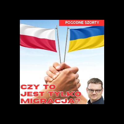 Migracja czy coś więcej? | Pogodne Szorty #265