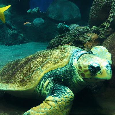 Recycle-based materials solution contributes to a cleaner ocean and sustainable livelihoods—Part 1
