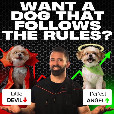 Ep. 26 - Little Devil to Perfect Angel – Teaching Boundaries with Leash Pressure & Tone