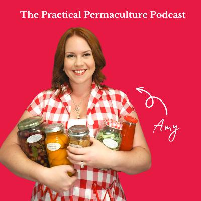 Preserving food, gardening and homesteading with Amy Sloan @mynonnalife