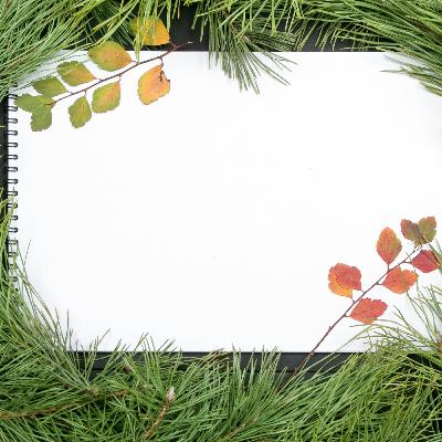 Leave Grudges Behind - How to Start the New Year with a Clean Slate