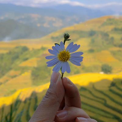 #10: Viễn cảnh xuất ngoại có thực sự màu hồng?